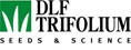 DLF Trifolium logo